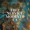 Tree Service Modesto CA