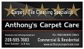 Anthony's Carpet Care